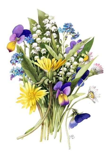 Nature Sketch, Marjolein Bastin, Nature Artists, Illustration Botanique, A Bouquet Of Flowers, Dutch Artists, Bouquet Of Flowers, Lily Of The Valley, Botanical Illustration