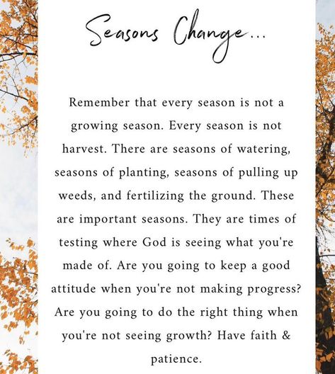 Seasons Change ...  Have faith & patience. Changing Seasons Of Life Quotes, Quote About Seasons Of Life, Season In Life Quotes, Fall Back Time Change Quotes, Just A Season Quote Life, Seasons In Life Quotes Faith, Resilancy Quotes, Season Of Change Quotes Life, A New Season Quotes