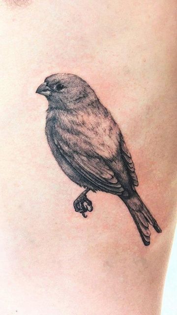 Canary Bird Tattoo, Canary Tattoo, Canary Birds, Realism Tattoo, Birds Tattoo, Realism, Tattoos For Guys, I Tattoo, Tattoos