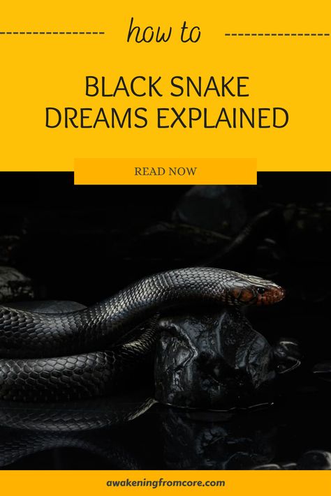 Ever woken up from a dream about a black snake and wondered what it meant? Dreaming about black snakes can be a reflection of hidden fears, inner struggles, or pending transformations in your life. These dreams often signal that it's time to face personal challenges. Dive into the deep symbolism behind these exhilarating dreams and discover the messages your subconscious might be sending Snake Symbolism, Inner Conflict, Embracing Change, Trust Your Instincts, Hidden Messages, Dream Meanings, Dream Symbols, Dream Interpretation, Embrace Change