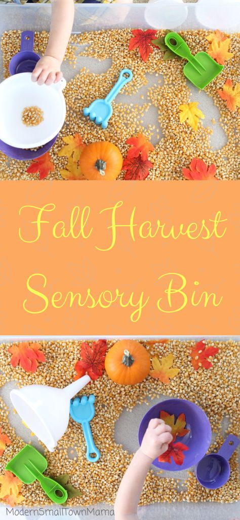 Fall Harvest sensory bin. Great activity to help build fine motor skills in your older toddler and preschoolers Fall Harvest Sensory Bin, Harvest Foods Preschool, Harvest Themed Activities For Toddlers, Fall Harvest Theme Preschool, Harvest Fine Motor Activities, Harvest Week Activities, Harvesting Preschool Activities, Harvest Lesson Plans Preschool, Harvest Toddler Activities