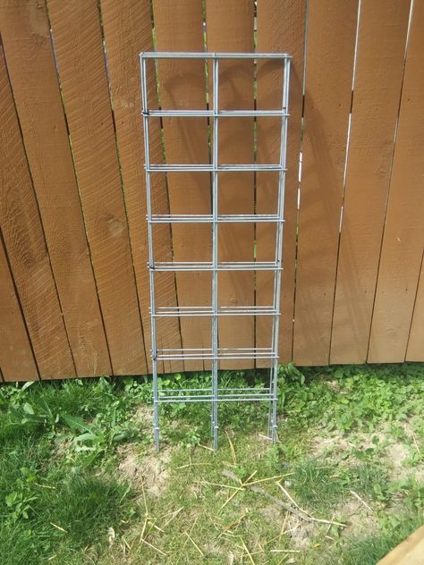 Cattle Panel Tomato Cage: Heavy Duty, Collapsible And Convenient DIY Build – diytype Cattle Panel Tomato Cage, Hog Panel Trellis Diy, Cattle Panel Garden, Tomato Cages Diy, Cattle Panel Trellis, Lattice Fence Panels, Panel Trellis, Tomato Support, Tomato Trellis