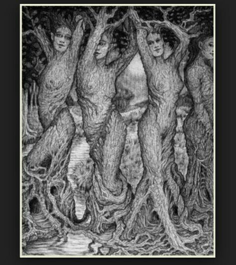 Dryads Tree Tattoo Men, Oak Tree Tattoo, Tree Spirits, Wood Nymphs, Tree People, Tree Spirit, Ash Tree, Tree Woman, Greek Myths