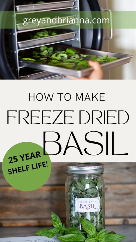 Freeze Dried Herbs How To Make, Freeze Drying Herbs, Rehydrating Freeze Dried Food, Freeze Dyer, Freeze Dry Recipes, Freeze Dried Recipes, Freeze Drying Food Recipes, Freeze Dried Meals, Dehydrating Fruit