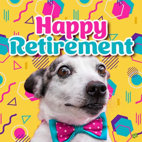 80 Funny Retirement One-Liners for Cards to Send Them Off Retirement Quotes Funny Hilarious, Funny Retirement Wishes, Happy Retirement Wishes, Favorite Coworker, Funny Retirement Cards, Retirement Messages, Retirement Quotes Funny, Congratulations On Your Retirement, Retirement Wishes