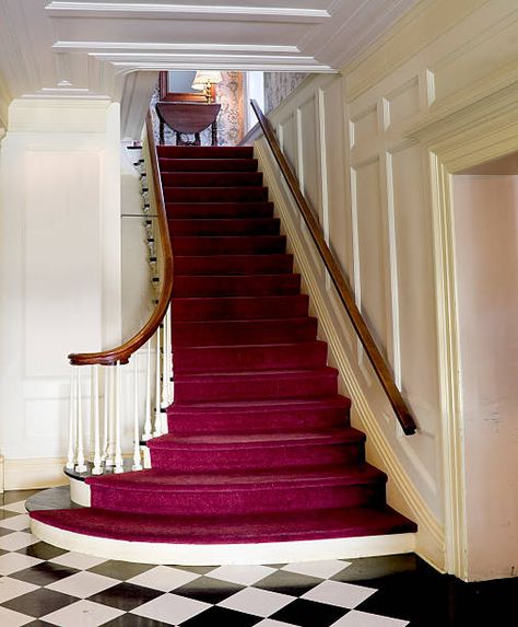 Red and Brown Floral Stair Carpet · Free Stock Photo Red Carpet Staircase, Red Carpet Stairs, Gothic Entrance, Artistic Interior, Future Decor, Hall Stairs, Carpet Staircase, Palace Interior, Stair Carpet