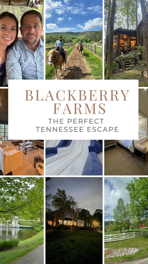 Blackberry Farm is located a short 30 minute drive from Knoxville airport, or a 3-hour drive from Nashville. The Farm opened to the public in 1976 and has become renowned for its hospitality, culinary excellence, and beautiful setting in the Great Smoky Mountains. Blackberry Farm Tennessee, Blackberry Mountain, Blackberry Farm, Blackberry Farms, Great Smoky Mountains, Smoky Mountains, The Farm, Blackberry, Nashville