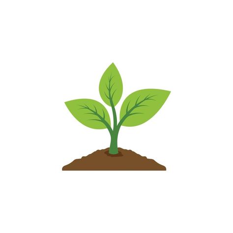 plant icon vector. leaf growing design. Seed and seeding vector icon. Flat design growing plant or tree logo symbol. Vector illustration Tree Emoji, Seed Illustration, Plant Symbol, Vector Leaf, Design Seed, Plant Clipart, Plant Icon, Save Trees, Tree Logo