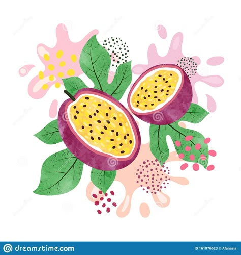 Fruits Vector Illustration, Tropical Fruits Illustration, Passionfruit Illustration, Passion Fruit Drawing, Passion Fruit Tattoo, Passion Fruit Illustration, Juicy Illustration, Tattoo Flamingo, Buda Zen