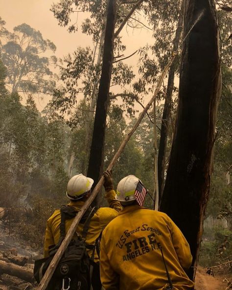 USDA Forest Service on Instagram: “There are currently 77 of our personnel assisting with the Australian #bushfires. Another group is expected to mobilize today and join…” Forest Service Aesthetic, Preston Aesthetic, Service Aesthetic, Australian Bushfires, Forest Service, Preston, Firefighter, Forest, Human