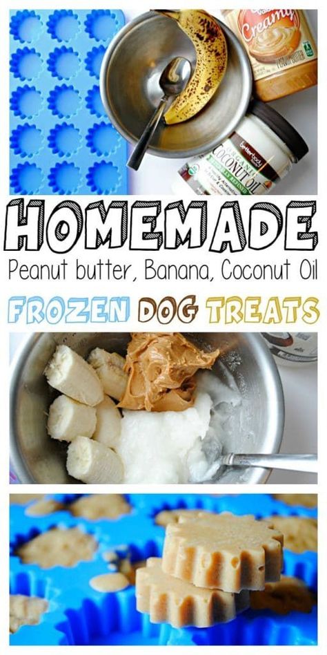 Mask Recipes, Frozen Dog Treats, Coconut Oil For Dogs, Easy Dog Treats, Healthy Dog Treats Homemade, Coconut Peanut Butter, Frozen Dog, Dog Treats Homemade Recipes, Diy Dog Treats