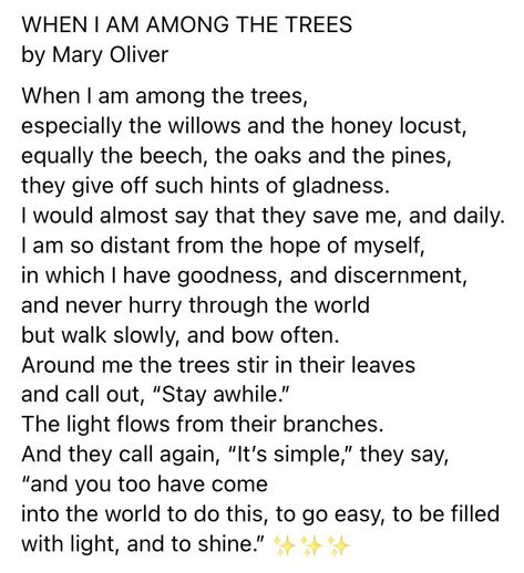 When I Am Among the Trees by Mary Oliver #maryoliver Honey Locust, Mary Oliver, Trees