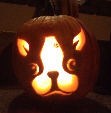 Boston Terrier Pumpkin Carving, Dog Jackolantern Ideas, Frenchie Pumpkin Carving, Dachshund Pumpkin Carving, Pumpkin Carving Witch, Cat Pumpkin Carving Stencils, Frenchie Pumpkin, Dog Pumpkin Carving, Minecraft Pumpkin