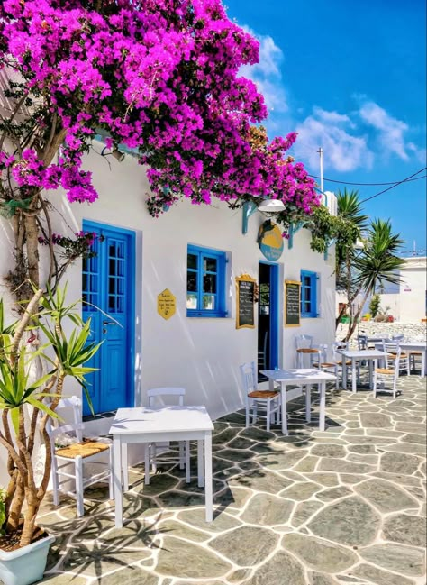 Artificial Bougainvillea, Bougainvillea Flower, Grecia Santorini, Flower Indoor, Nature Tourism, Paros Island, Flower Garland Wedding, Paros Greece, Greece Vacation