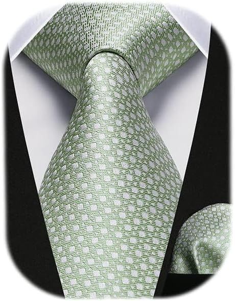 Amazon.com: HISDERN Ties for Men Wedding Men Ties Sage Green Plaid Tie and Pocket Square Set Silk Mint Green Neckties Handkerchief Formal Business Necktie Party : Clothing, Shoes & Jewelry Handkerchief Wedding, Freshman Homecoming, Men Ties, Gold Tie, Wedding Handkerchief, Mens Ties, Ties For Men, Plaid Tie, Wedding Ties