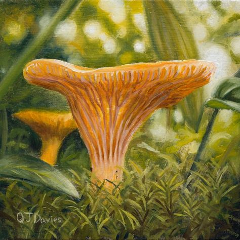 Golden Chanterelle Golden Chanterelle, Online Mood Board, Gallery Artwork, Downloadable Art, Digital Magazine, Art Videos, Still Life, Fish Pet, Oil On Canvas