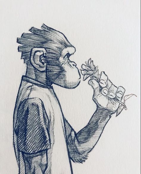 How To Draw A Monkey, Koteri Ink, Monkey Drawings, Sketchbook Pages Inspiration, Badass Drawings, Monkey Drawing, Arte Van Gogh, Caricature Artist, Monkey Art