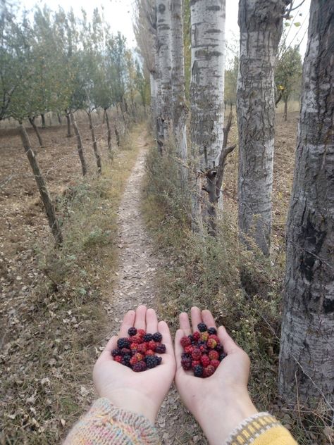 Autumn in Kashmir Autumn Kashmir, Dp Girl, Medical School Inspiration, Hiding Face, Cute Images For Dp, Beach Background, Curry Chicken Recipes, Face Photography, School Inspiration