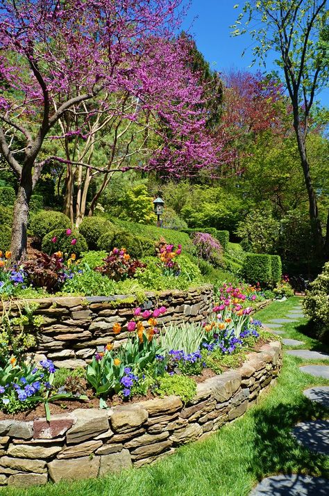 Tiered Side Yard, Hillside Backyard, Yard Garden Design, Sloped Backyard Landscaping, Landscape Backyard, Landscaping A Slope, Landscaping Backyard, Sloped Yard, Hillside Garden