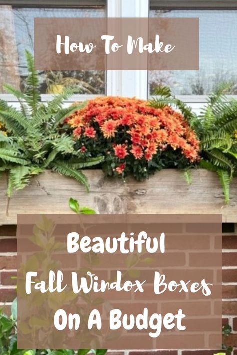 How to make fall window boxes on a budget | Fall window box with pumpkins and mums | Make a fall window box on a budget with pumpkins and mums | DIY fall window box | DIY fall window box idea | How to make your own DIY beautiful fall window box on a budget | DIY fall window box with pumpkins and mums | Fall decor | Fall decor on a budget | Budget friendly fall decor | Budget friendly fall window box idea with pumpkins and mums Fall Window Flower Box Ideas, Artificial Fall Window Boxes, Fall Outdoor Window Box Ideas, Mums Window Boxes, Mum Window Boxes, Fall Flower Boxes Window Mums, Fall Window Boxes Mums, Fall And Winter Window Box Ideas, Fall Flowers For Window Boxes