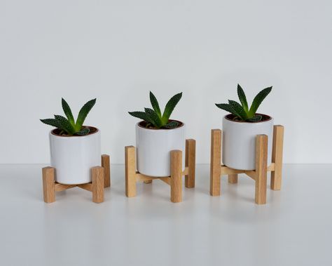 Garden Plant Stand, Support Pour Plante, Mini Plant, Support Plante, Mini Plants, Plant Stands, All Plants, Beech Wood, Plant Stand