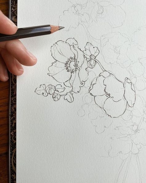 Carleigh Courey Design, Flower Drawings Pencil, Open Window Drawing, Carleigh Courey, Sketchbook Portrait, Diy Paintings, Flower Drawings, Drawing Flowers, Flower Art Drawing