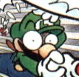 Luigi Pfp, Mario Memes, Mr L, Mario Movie, Mario Fan Art, Mario Y Luigi, Super Mario Art, Mario Art, Super Mario Brothers