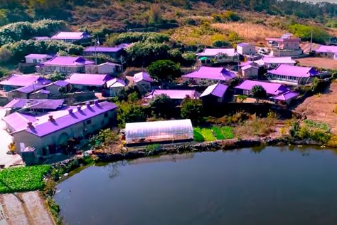 This All-purple Island Is the Most Mesmerizing Thing You’ll See All Day Purple Island, Travel Korea, Best Vacation Spots, South Korea Travel, Island Destinations, Blue City, Korea Travel, Travel South, Natural Scenery