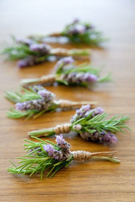 boutonnieres - lavender and rosemary except I would want like a billy button maybe instead of lavender Lavender Boutonniere, Lavender And Rosemary, Pagan Crafts, Boutonniere Wedding, Lavender Wedding, Deco Floral, Lavender Flowers, Groom And Groomsmen, Boutonniere