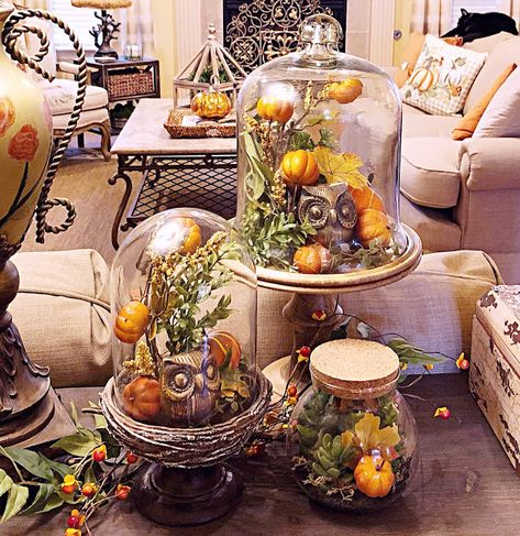 Cloches Decor Ideas For Fall, Fall Cloche Ideas, Fall Terrarium, Glass Dome Fall Decor, Glass Dome Halloween Decor, Fall Cloche Ideas Glass Domes, Fall Cloche, Halloween Glass Domes, Diy Cloche