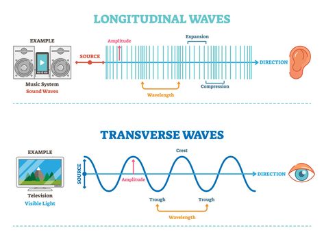 Transverse Wave, Mechanical Wave, Longitudinal Wave, Wave Machine, Types Of Waves, Physics Lessons, Physics Concepts, Learn Physics, Sound Energy