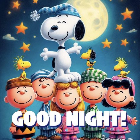 Peanuts Gang Quotes, Snoopy Good Night, Good Night Snoopy, Gang Pictures, Snoopy Sleeping, Gang Quotes, Goodnight Snoopy, Quotes Good Night, Good Morning Snoopy