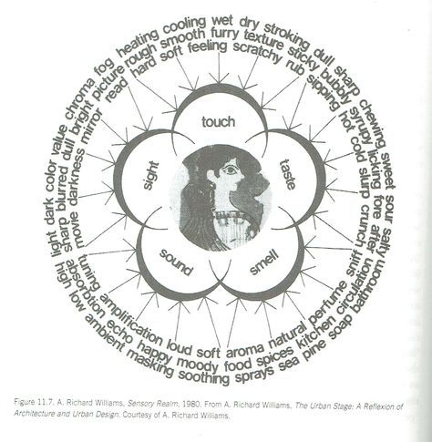 Sensory Design fig 11.7, The Sensory Realm by A Richard Williams, 1980. Originally published in Williams' The Urban Stage: A Reflexion of Architecture and Urban Design. Sensory Perception Architecture, Emotional Architecture Spaces, Sensory Experience Architecture, Sensory Architecture Diagram, Sensory Graphic Design, Multi Sensory Architecture, Multisensory Architecture, Sensory Design Architecture, Healing Space Architecture