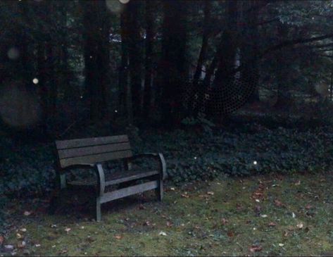 Boredom Aesthetics Dark, Tubbo Aesthetic, Shed Aesthetic Dark, Bench Aesthetic, Forest Punk Aesthetic, Dark Childhood Aesthetic, Parque Aesthetic, Dsmp Aesthetic, Park Bench Aesthetic