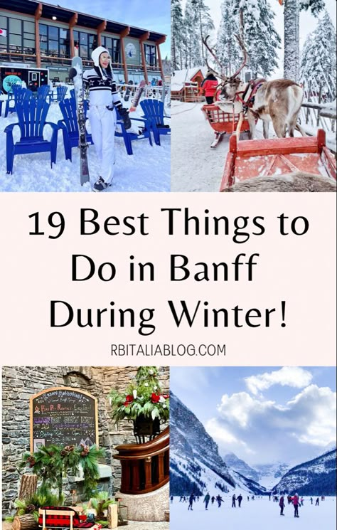 Best things to do during winter in Banff Places To Go For Christmas, Banff Hot Springs, Traveling To Canada, Lake Louise Ski Resort, Christmas Family Vacation, Things To Do In Banff, Canada Banff, Sunshine Village, Fairmont Chateau Lake Louise