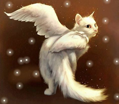 Realistic Cat Drawing, Fantasy Pets, Kitty Face Paint, Winged Cat, Cat Tattoo Ideas, Illustrations Ideas, Hybrid Cat, Art Inspiration Ideas, Dragon Cat