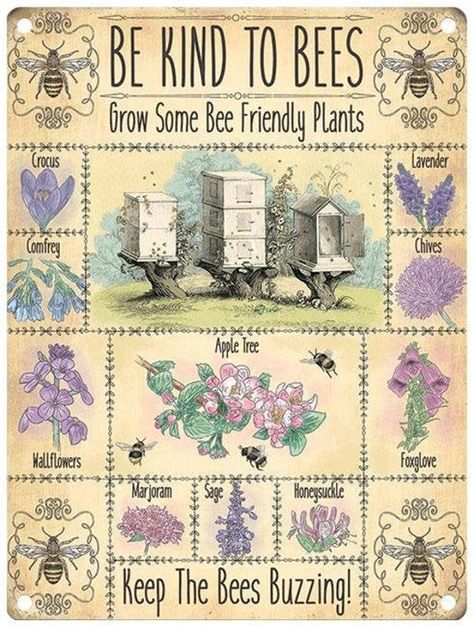 Be kind to Bees Sign Grow bee friendly plants from Lavender to Honeysuckle Size 15 cm x 20 cm Emergency Preparedness Binder, Honey Bees Keeping, Bee Friendly Plants, Backyard Bee, Wood Bees, Diy Crafts Vintage, Bee Printables, Bee Sign, Buzz Bee