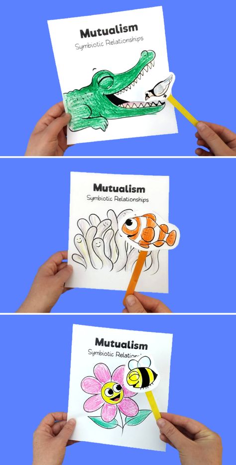 Mutualism - Symbiotic Relationships Symbiotic Relationships Activities, Fourth Grade Science, Relationship Activities, Bracelet Craft, Easy Arts And Crafts, Bracelet Craft Diy, Symbiotic Relationships, Classroom Language, Animal Activities