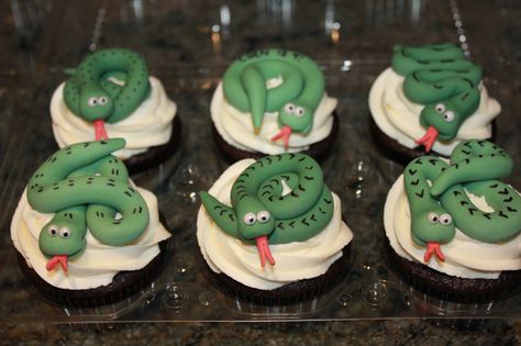 Rainforest Cupcakes, Snake Cupcakes, Scout Cupcakes, Lizard Cake, Zoe Cake, Snake Cake, Boy Babies, Snake Cakes, Snake Birthday