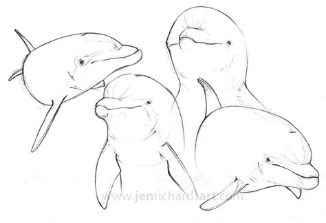 Bottlenose dolphins sketched in biro pen.  http://www.jenrichardsart.com Dolphins Sketch, Dolphin Sketch, Dolphin Drawing, Pen Sketches, Ocean Drawing, Drawn Fish, Bottlenose Dolphin, Posca Art, Pen Sketch