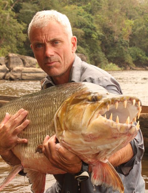 Jeremy Wade from River Monsters- slightly obsessed with this show :) Tiger Fish, Jeremy Wade, River Monsters, Monster Fishing, Cool Fish, Fishing Pictures, Sea Monsters, Gone Fishing, Best Fishing