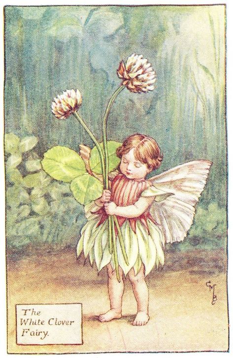 Clover Fairy, Fairy Books, Fairy Drawings, Fairy Images, Fairy Illustration, Fairy Pictures, Cicely Mary Barker, Fairy Artwork, Vintage Fairies