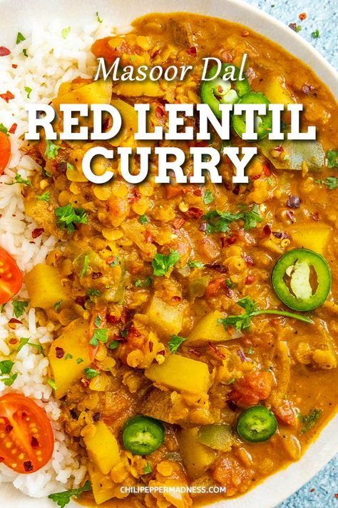 Orange Lentil Curry, Mexican Curry Recipe, Red Lentil Indian Recipes, Spicy Lentil Curry, Vegetarian Curries Indian, Spicy Lentils Recipe, Authentic Vegetarian Indian Recipes, Indian Red Lentil Recipes, Red Curry Recipe Vegetarian