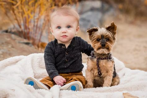 Baby And Dog Photoshoot, Dog Family Pictures, Pet Photography Studio, Family Photo Studio, Colorful Hairstyles, Child Portraits, Puppy Photography, Animal Ideas, Photos With Dog