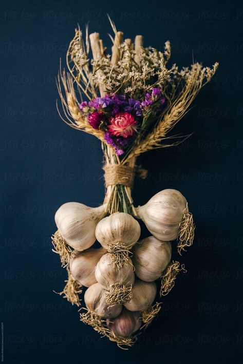 Garlic Decor, Garlic Tattoo, Braiding Garlic, Garlic Braid, Gothic Gallery Wall, Apple Centerpieces, Garlic Flower, Amaryllis Flowers, Festive Centerpieces