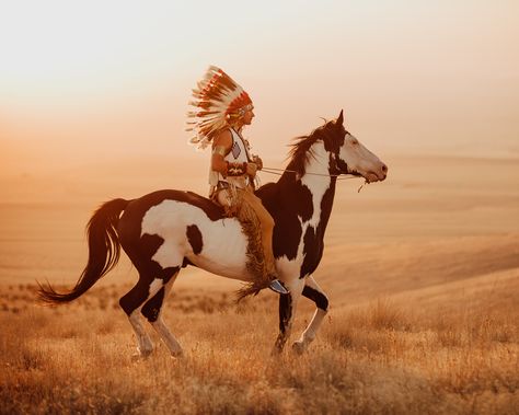 Horse Spirit Animal, Heart Drawings, Native American Horses, Indian Horses, Beautiful Horse Pictures, Indian Princess, Native American Pictures, Eastern Oregon, Native American Artwork