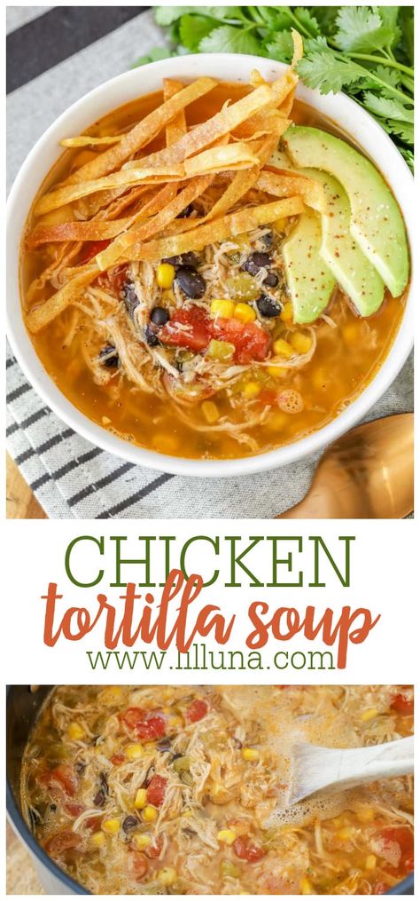 Delish Slow Cooker Chicken Tortilla Soup, Easy Slow Cooker Chicken Tortilla Soup, Corn Tortilla Soup Recipes, Chicken Tortilla Soup With Taco Seasoning, Chuys Tortilla Soup Recipe Crock Pot, Saltgrass Chicken Tortilla Soup, Southern Living Tortilla Soup, Easy Chicken Tortilla Soup Recipe Crockpot, Chicken Tortilla Soup Hominy