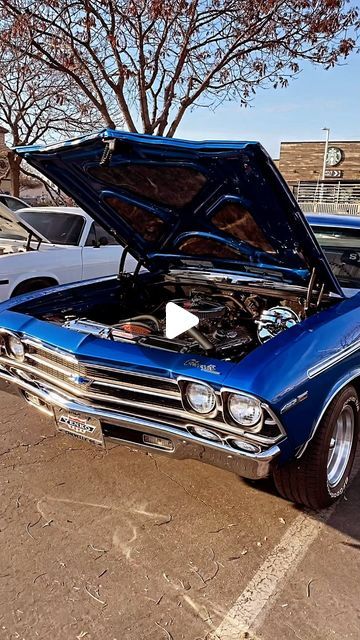 Craig Young on Instagram: "1969 What do you think of this 1969 Chevelle? #chevy #chevelle #carsandcoffee #musclecar" 1969 Chevy Chevelle, 68 Chevelle, 1969 Chevelle, Chevy Chevelle, Cars And Coffee, Muscle Cars, Chevy, You Think, Classic Cars