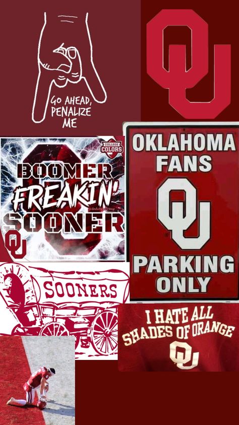 #sooners#oklahoma Is anyone a fan of Oklahoma Sooners? Oklahoma Sooners Football, College Colors, Boomer Sooner, University Of Oklahoma, Oklahoma Sooners, Shades Of Orange, A Fan, Connect With People, Your Aesthetic