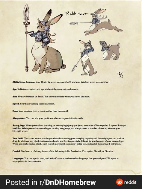 Dnd 5e Races, 5e Races, Dungeons And Dragons Races, D D Races, Dnd Races, Dungeon Master's Guide, Dnd Dragons, Dnd 5e Homebrew, Fantasy Props